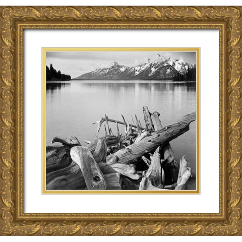 Driftwood on shore of Jackson Lake, with Teton Range in background, Grand Teton National Park, Wyomi Gold Ornate Wood Framed Art Print with Double Matting by Adams, Ansel