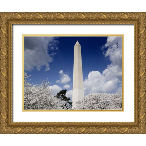 Washington Monument and cherry trees, Washington, D.C. Gold Ornate Wood Framed Art Print with Double Matting by Highmith, Carol