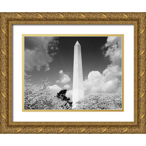 Washington Monument and cherry trees, Washington, D.C. - Black and White Variant Gold Ornate Wood Framed Art Print with Double Matting by Highmith, Carol