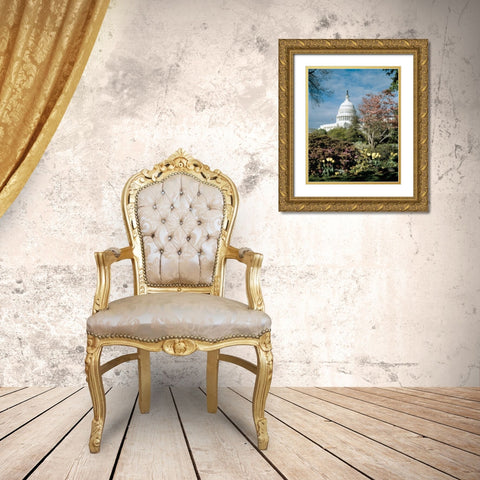 U.S. Capitol, Washington, D.C. Number 3 - Vintage Style Photo Tint Variant Gold Ornate Wood Framed Art Print with Double Matting by Highmith, Carol