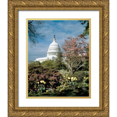 U.S. Capitol, Washington, D.C. Number 3 - Vintage Style Photo Tint Variant Gold Ornate Wood Framed Art Print with Double Matting by Highmith, Carol