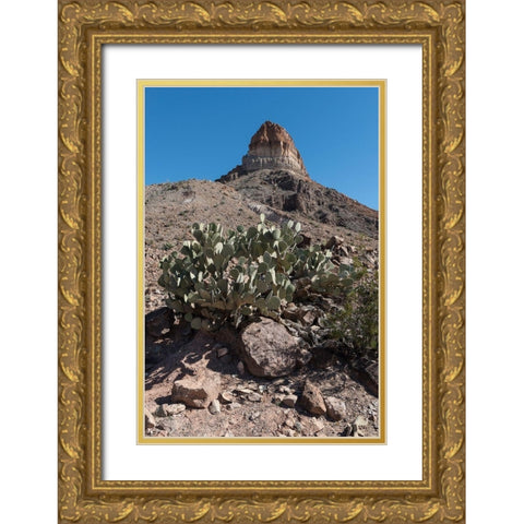 Prickly Pear Cactus and scenery in Big Bend National Park, TX Gold Ornate Wood Framed Art Print with Double Matting by Highmith, Carol