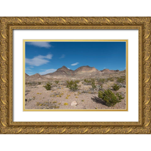 Scenery in Big Bend National Park, TX Gold Ornate Wood Framed Art Print with Double Matting by Highmith, Carol