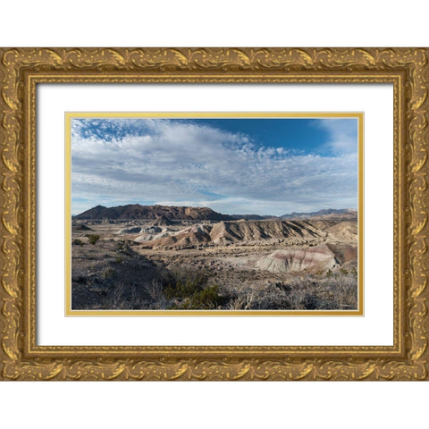 Scenery in Big Bend National Park, TX Gold Ornate Wood Framed Art Print with Double Matting by Highmith, Carol