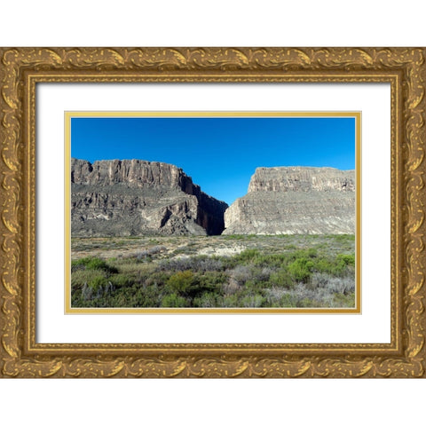 Scene from Big Bend National Park in Brewster County, TX Gold Ornate Wood Framed Art Print with Double Matting by Highmith, Carol