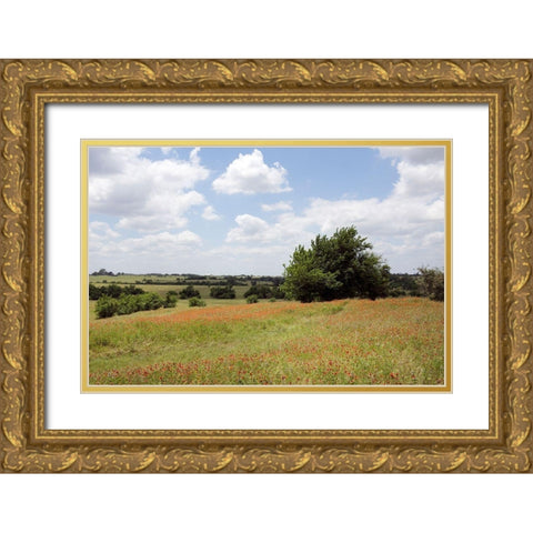 A field of wildflowers near Chappel Hill in Austin County, TX, 2014 Gold Ornate Wood Framed Art Print with Double Matting by Highmith, Carol