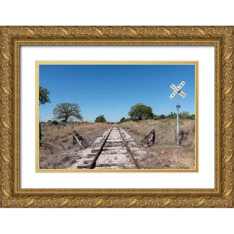 Lonely, little-used stretch of railroad tracks in the Texas Hill Country, near Burnet Gold Ornate Wood Framed Art Print with Double Matting by Highmith, Carol