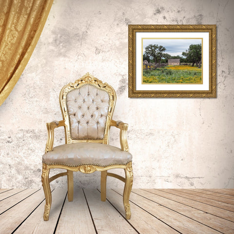 Vivid field of wildflowers in the Lyndon B. Johnson National Historical Park in Johnson City, TX Gold Ornate Wood Framed Art Print with Double Matting by Highmith, Carol