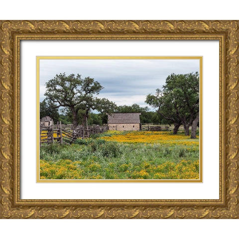 Vivid field of wildflowers in the Lyndon B. Johnson National Historical Park in Johnson City, TX Gold Ornate Wood Framed Art Print with Double Matting by Highmith, Carol