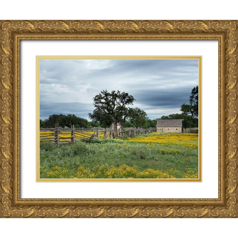 A beautiful wildflower array in a meadow in Johnson City, TX Gold Ornate Wood Framed Art Print with Double Matting by Highmith, Carol