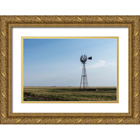 Windmill in rural Gray County in the Texas panhandle Gold Ornate Wood Framed Art Print with Double Matting by Highmith, Carol