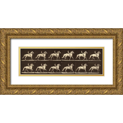Motion Study: Man Riding A Horse Gold Ornate Wood Framed Art Print with Double Matting by Muybridge, Eadweard J.
