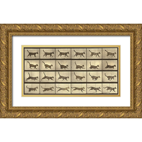 Motion Study: Running Cat Gold Ornate Wood Framed Art Print with Double Matting by Muybridge, Eadweard J.