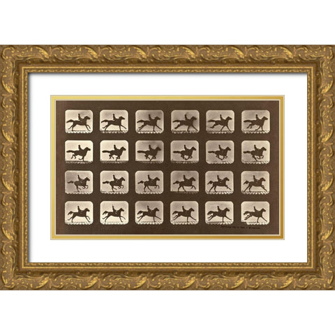 Motion Study: Man Riding A Galloping Horse Gold Ornate Wood Framed Art Print with Double Matting by Muybridge, Eadweard J.