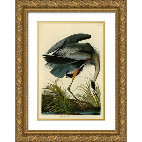 The Great Blue Heron Gold Ornate Wood Framed Art Print with Double Matting by Audubon, John James