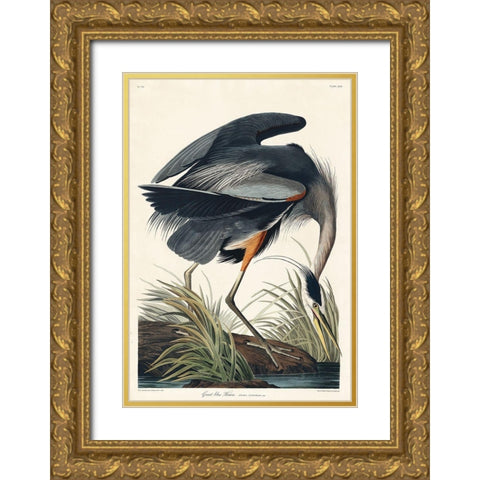 Great blue Heron Gold Ornate Wood Framed Art Print with Double Matting by Audubon, John James