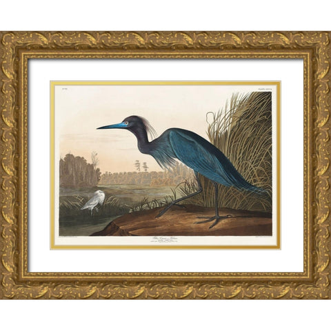 Blue Crane or Heron Gold Ornate Wood Framed Art Print with Double Matting by Audubon, John James
