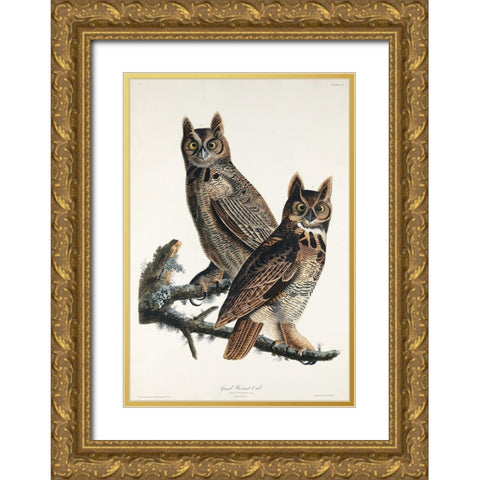 Great Horned Owl Gold Ornate Wood Framed Art Print with Double Matting by Audubon, John James