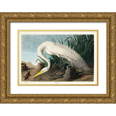 White Heron Gold Ornate Wood Framed Art Print with Double Matting by Audubon, John James
