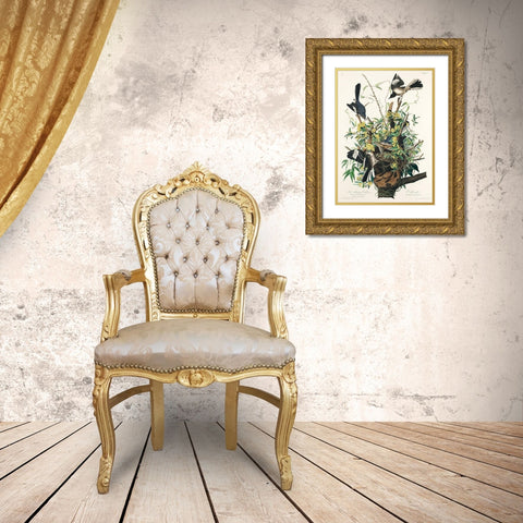 Mocking Bird Gold Ornate Wood Framed Art Print with Double Matting by Audubon, John James