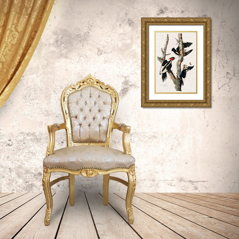 Ivory-billed Woodpecker Gold Ornate Wood Framed Art Print with Double Matting by Audubon, John James