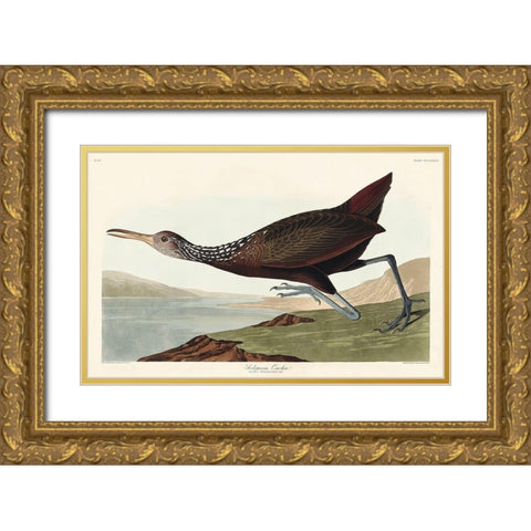 Scolopaceus Courlan Gold Ornate Wood Framed Art Print with Double Matting by Audubon, John James