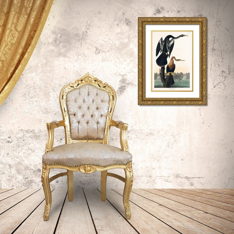 Black-bellied Darter Gold Ornate Wood Framed Art Print with Double Matting by Audubon, John James