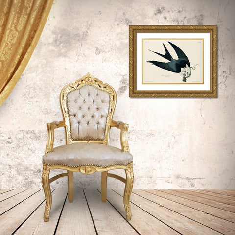 Swallow-tailed Hawk Gold Ornate Wood Framed Art Print with Double Matting by Audubon, John James