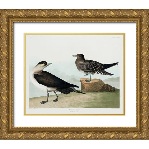 Richardsons JagerÂ  Gold Ornate Wood Framed Art Print with Double Matting by Audubon, John James