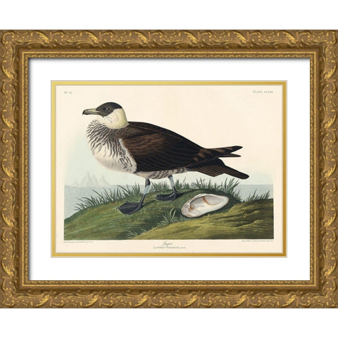 Jager Gold Ornate Wood Framed Art Print with Double Matting by Audubon, John James