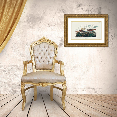 Fox-coloured Sparrow Gold Ornate Wood Framed Art Print with Double Matting by Audubon, John James