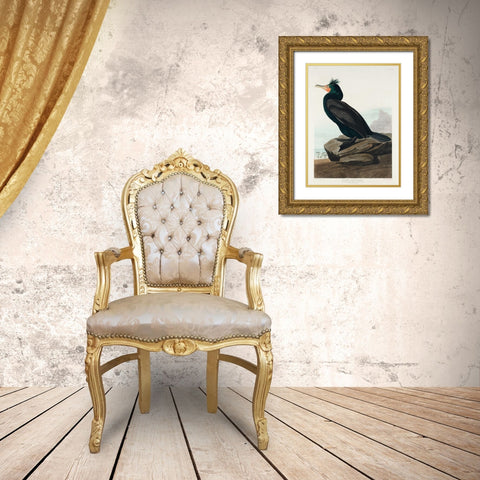 Double-crested Cormorant Gold Ornate Wood Framed Art Print with Double Matting by Audubon, John James
