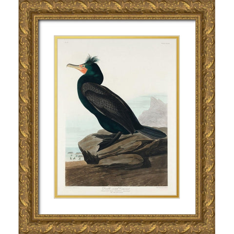 Double-crested Cormorant Gold Ornate Wood Framed Art Print with Double Matting by Audubon, John James