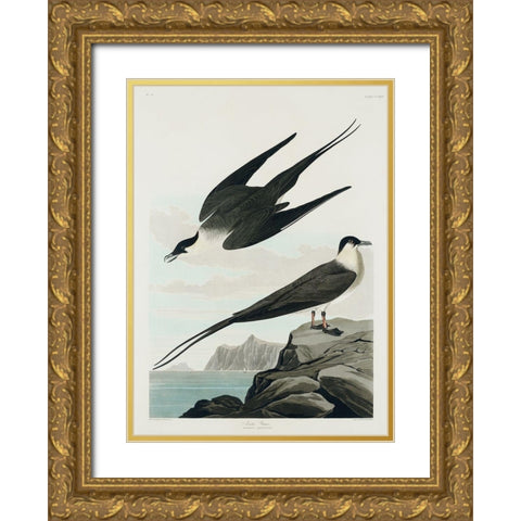 Arctic Yager Gold Ornate Wood Framed Art Print with Double Matting by Audubon, John James