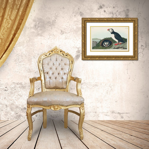 Puffin Gold Ornate Wood Framed Art Print with Double Matting by Audubon, John James