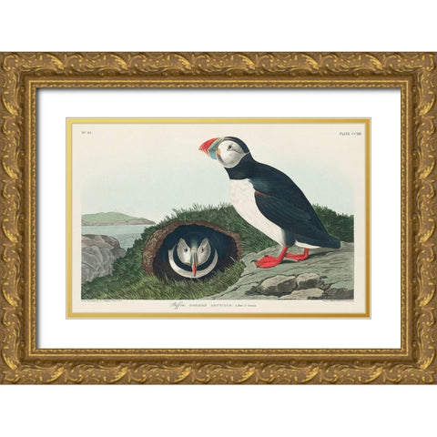 Puffin Gold Ornate Wood Framed Art Print with Double Matting by Audubon, John James