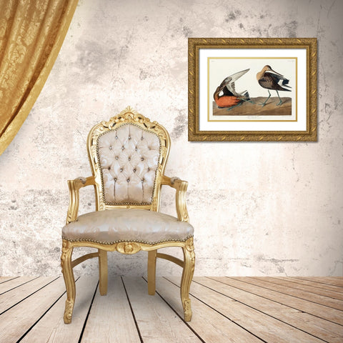 Hudsonian Godwit Gold Ornate Wood Framed Art Print with Double Matting by Audubon, John James