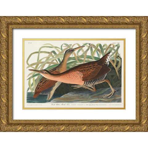 Fresh Water Marsh Gold Ornate Wood Framed Art Print with Double Matting by Audubon, John James