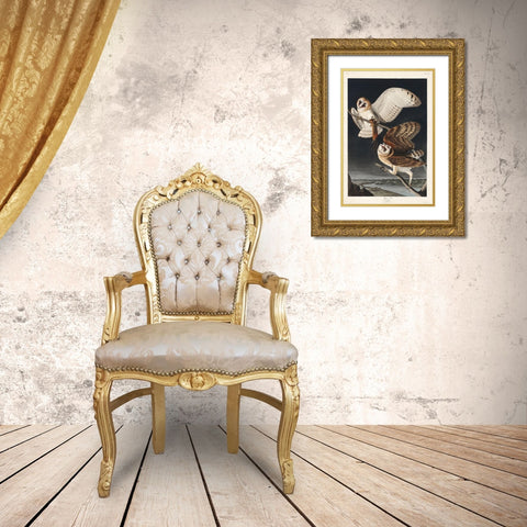 Barn OwlÂ  Gold Ornate Wood Framed Art Print with Double Matting by Audubon, John James