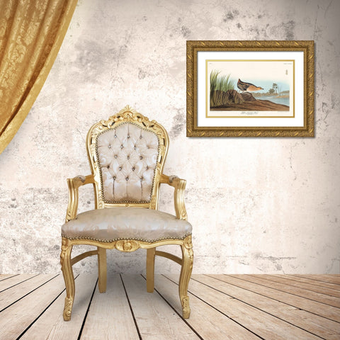 Yellow-breasted Rail Gold Ornate Wood Framed Art Print with Double Matting by Audubon, John James