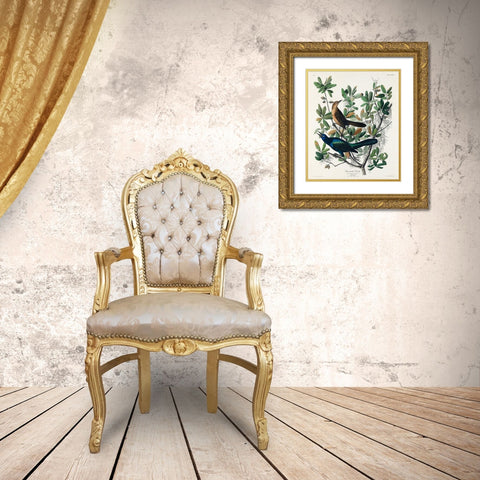 Boat-tailed Grackle Gold Ornate Wood Framed Art Print with Double Matting by Audubon, John James