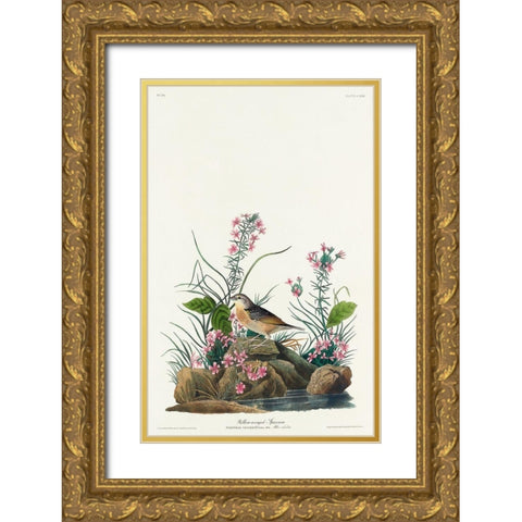 Yellow-winged Sparrow Gold Ornate Wood Framed Art Print with Double Matting by Audubon, John James