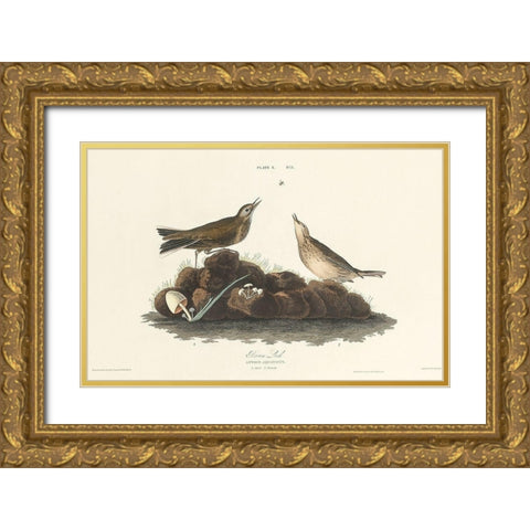 Brown Lark Gold Ornate Wood Framed Art Print with Double Matting by Audubon, John James