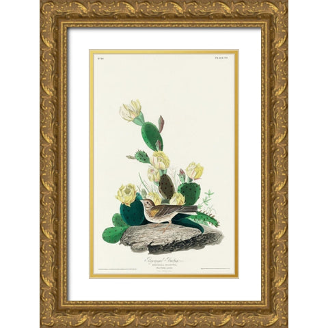 Grass Finch, or Bay-winged Bunting Gold Ornate Wood Framed Art Print with Double Matting by Audubon, John James
