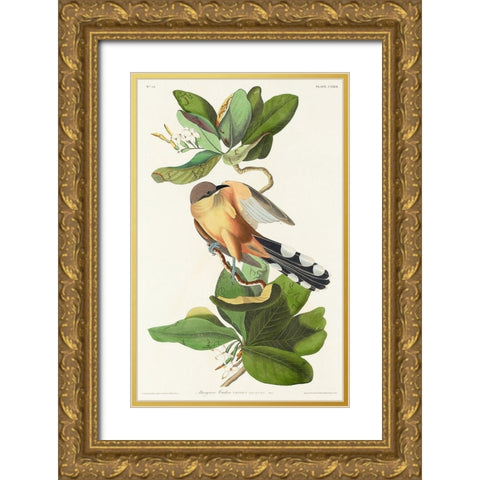 Mangrove Cuckoo Gold Ornate Wood Framed Art Print with Double Matting by Audubon, John James
