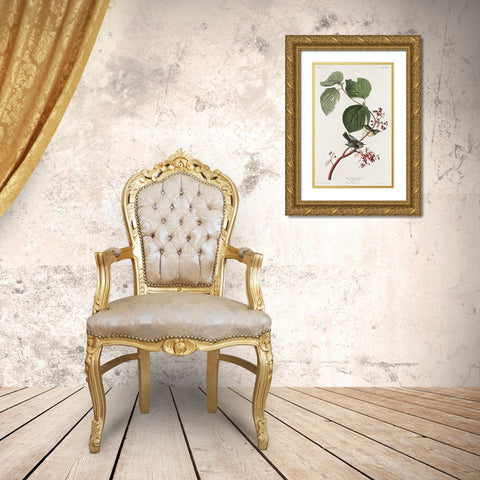 Pine Swamp Warbler Gold Ornate Wood Framed Art Print with Double Matting by Audubon, John James