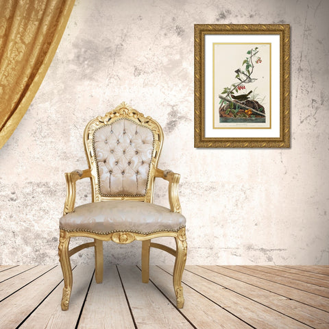 Golden-crowned Thrush Gold Ornate Wood Framed Art Print with Double Matting by Audubon, John James
