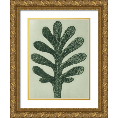 Achillea Umbellata (Yarrow) Gold Ornate Wood Framed Art Print with Double Matting by Blossfeldt, Karl
