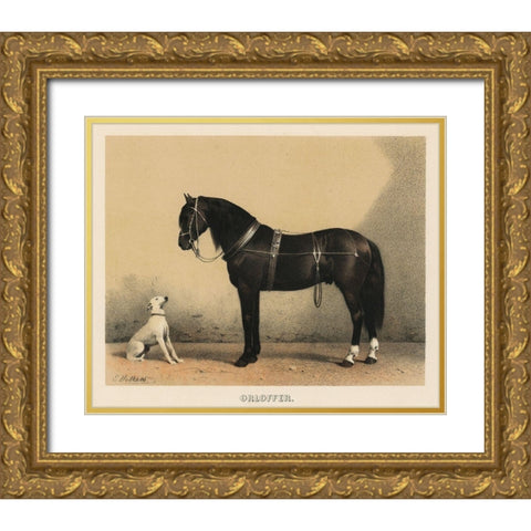 Orloffer (Orloff Horse) Gold Ornate Wood Framed Art Print with Double Matting by Volkers, Emil