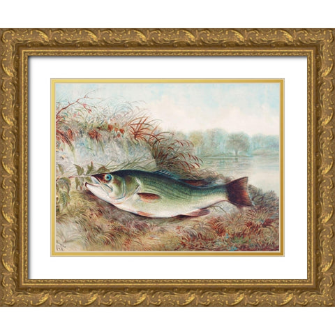 Largemouth Bass Gold Ornate Wood Framed Art Print with Double Matting by Kilbourne, Samuel